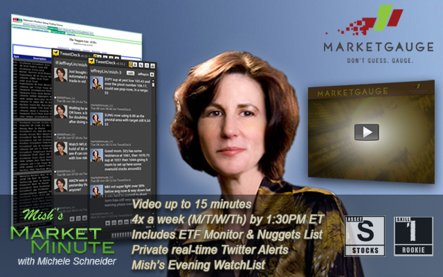 Review Report Mish s Market Minute Stock Trading Video Newsletter